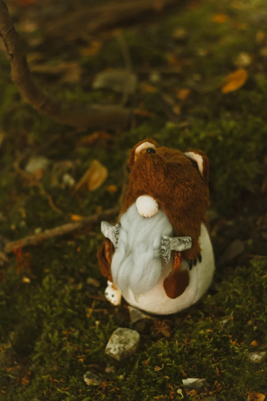 Gnome Berserker — closeup of bear-head hood with ears and beard