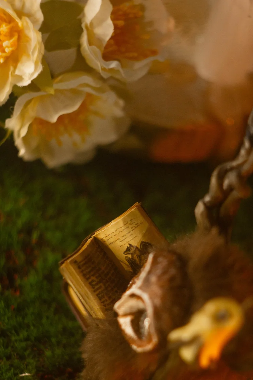 Rustle of Ancient Books fluffy — close-up of ancient tome held in paws by candlelight