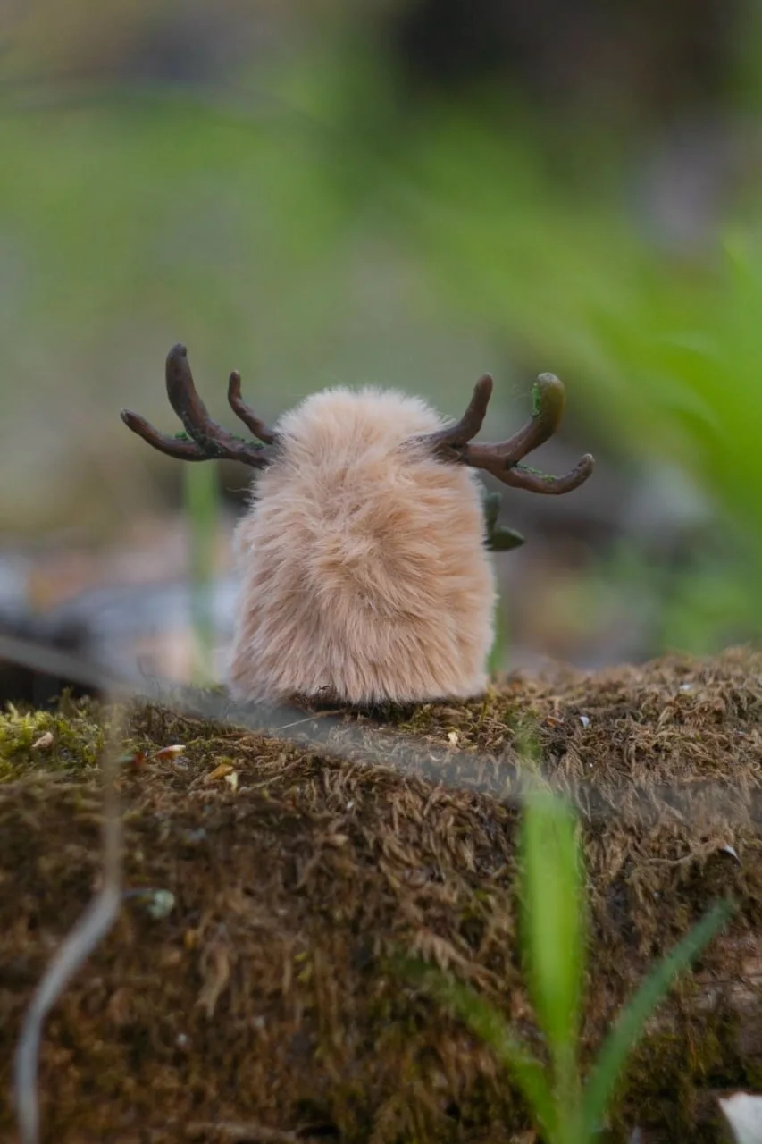 Botanist's Apprentice fluffy — back view on a mossy garden wall