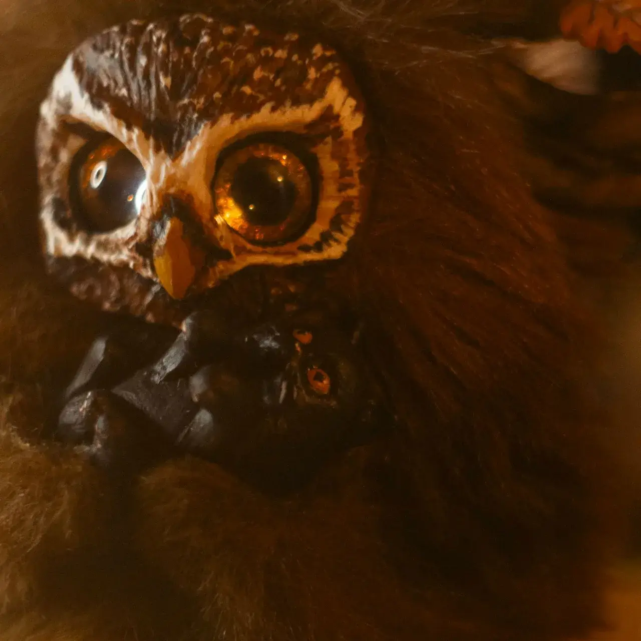 Dear Friend fluffy — close-up of face with golden amber eyes and soft brown wool