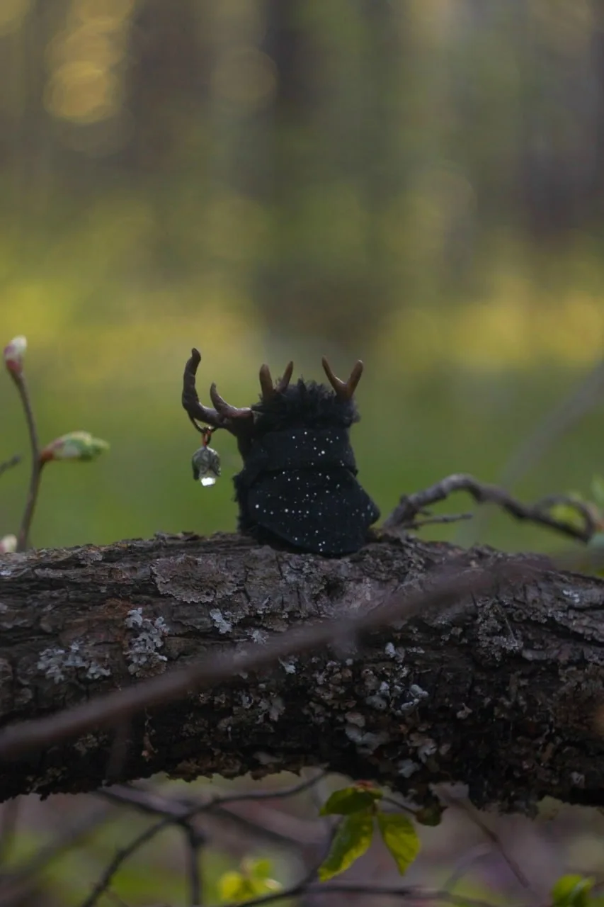 Evening Gazer fluffy — dark silhouette against a blurred spring garden background