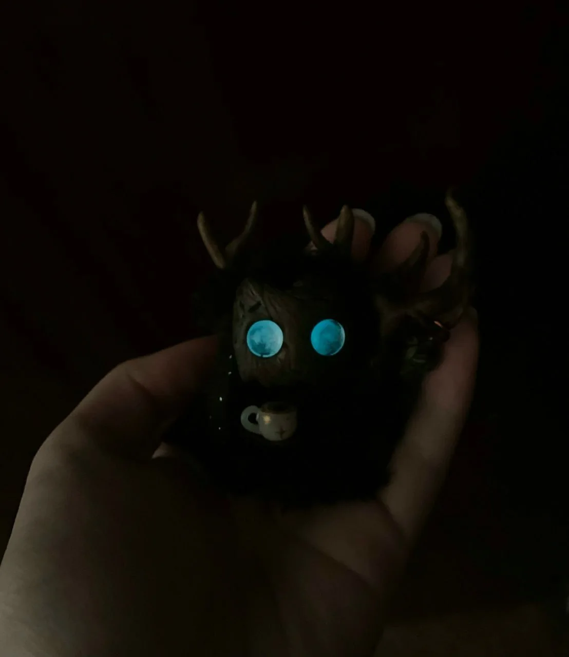 Evening Gazer fluffy — pale blue eyes glowing in the dark