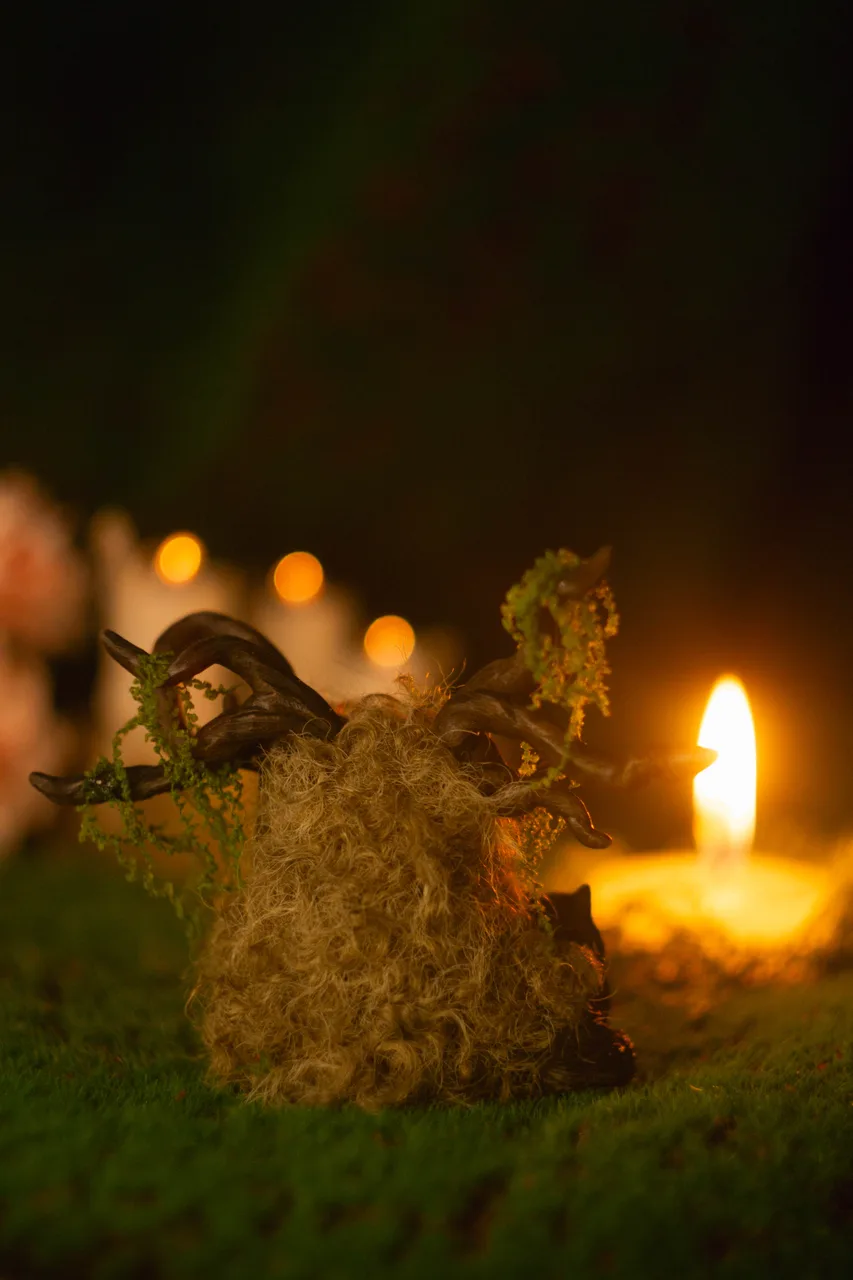 Forest Shaman fluffy — with black cat companion sitting at paws among forest roots
