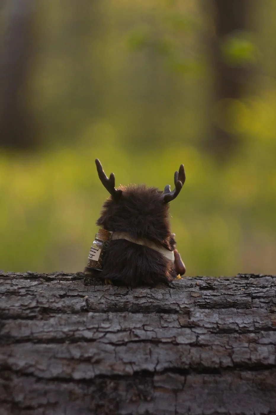 The Healer fluffy — back view on textured forest bark