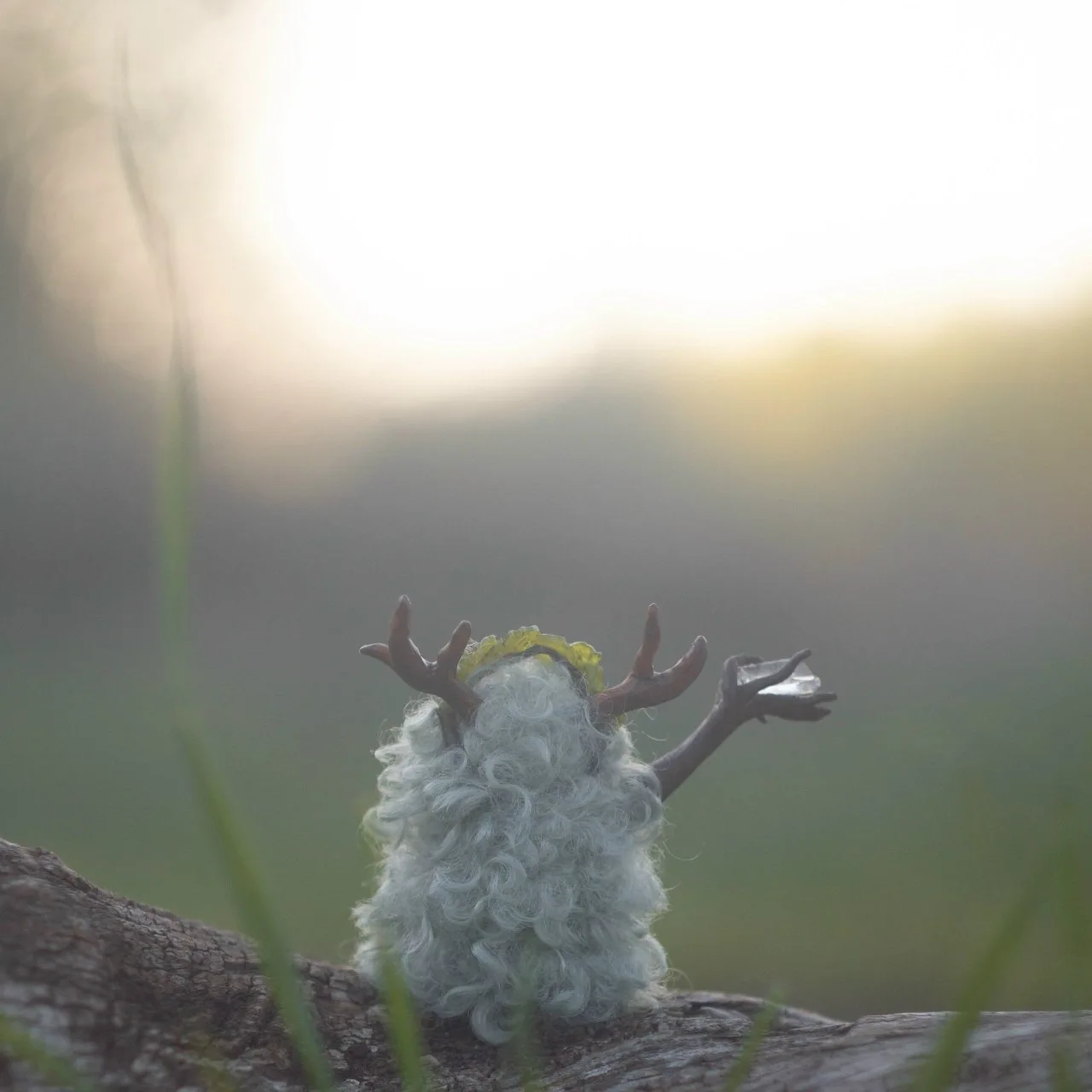 Misty Morning fluffy — silhouette against golden sunrise mist in an open field