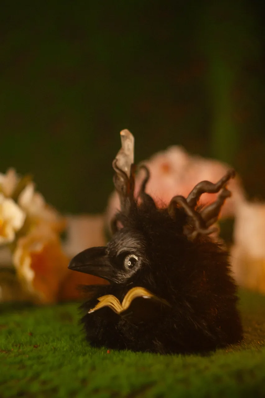 Omniscient Raven fluffy — glowing star-shard woven into staff, surrounded by night forest