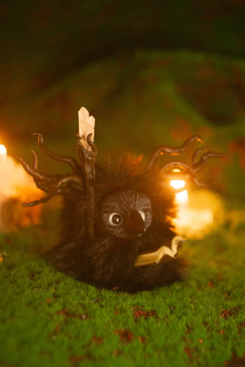 Omniscient Raven fluffy — atmospheric dark portrait with storm-scented black fur and glowing staff