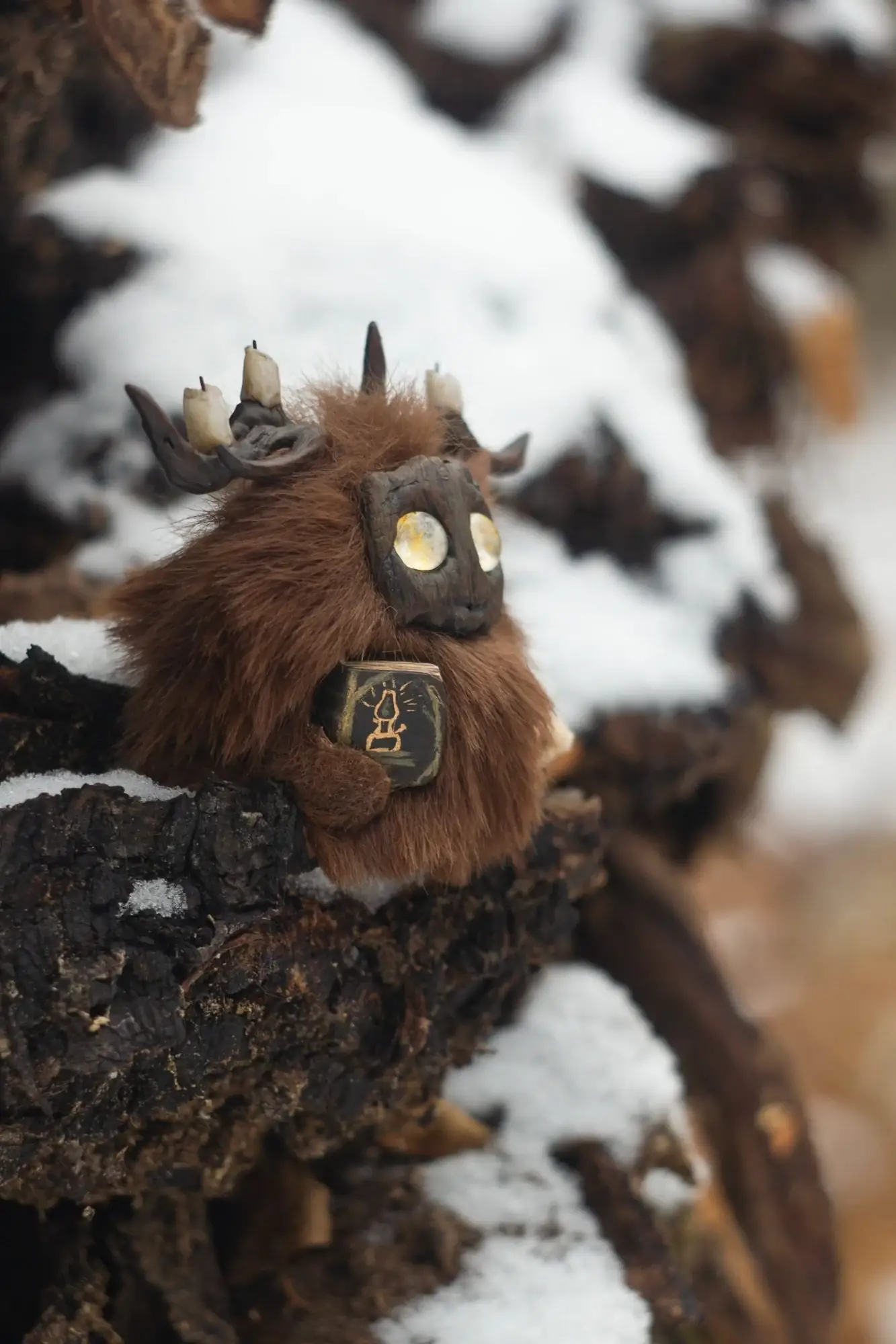 Page Rustle fluffy — peering out with book, front close-up view