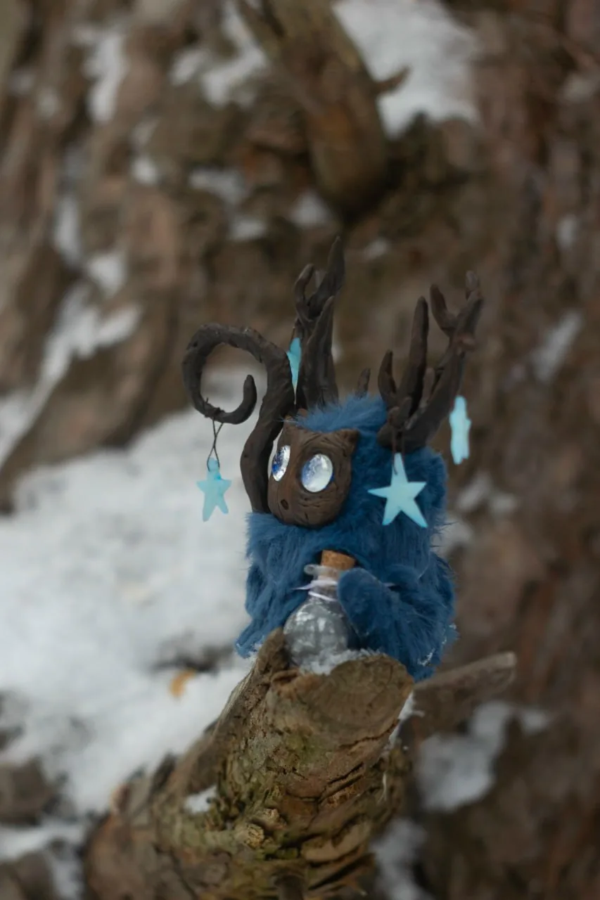 Polaris fluffy — front view against snowy tree bark