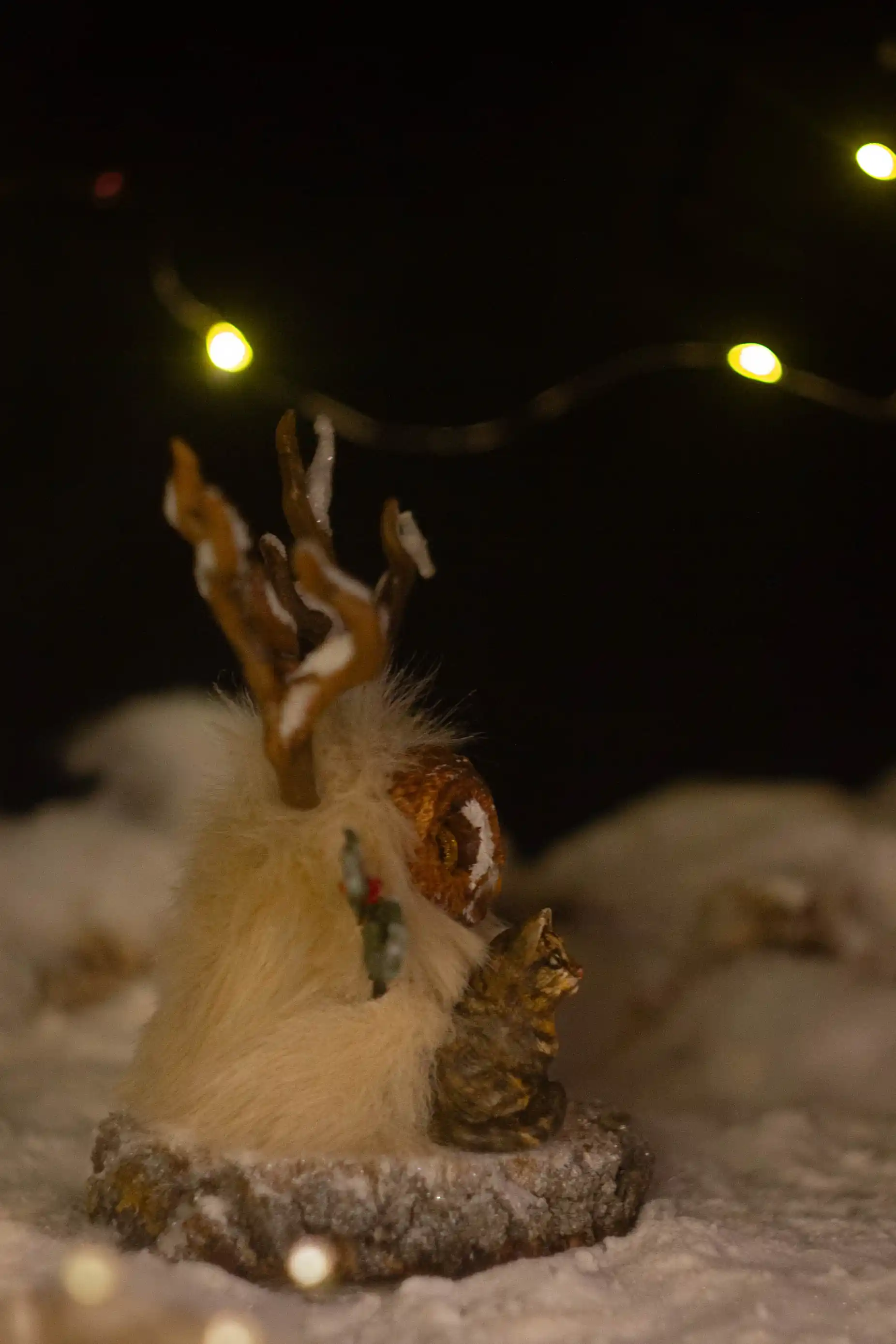 Warm Evening fluffy -- close-up of the warm, kind face
