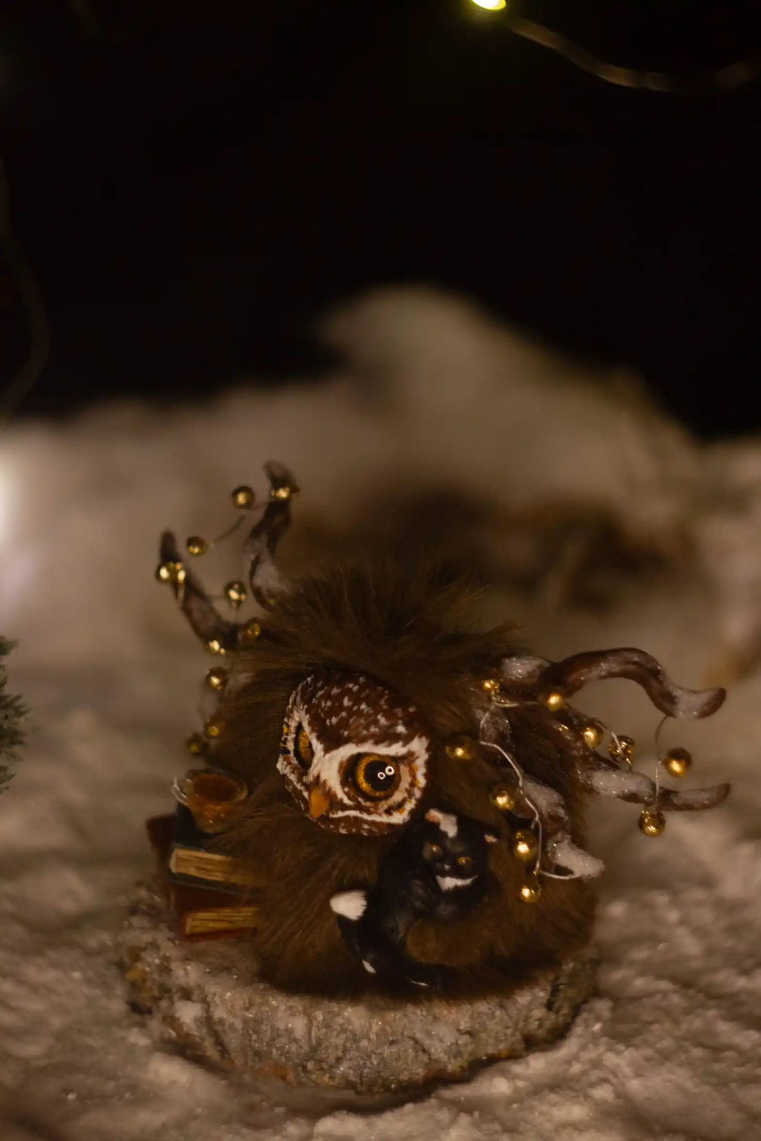 Shimmer of Lights fluffy -- close-up of the expressive, bright eyes