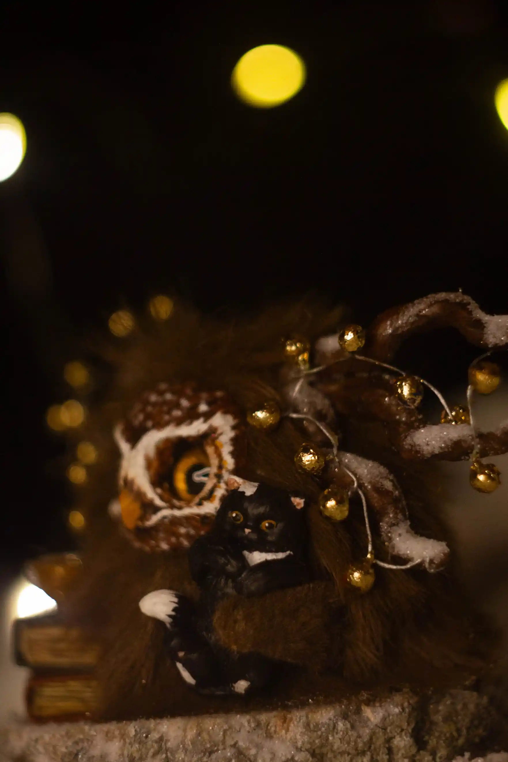 Shimmer of Lights fluffy -- side view with a playful cat nearby