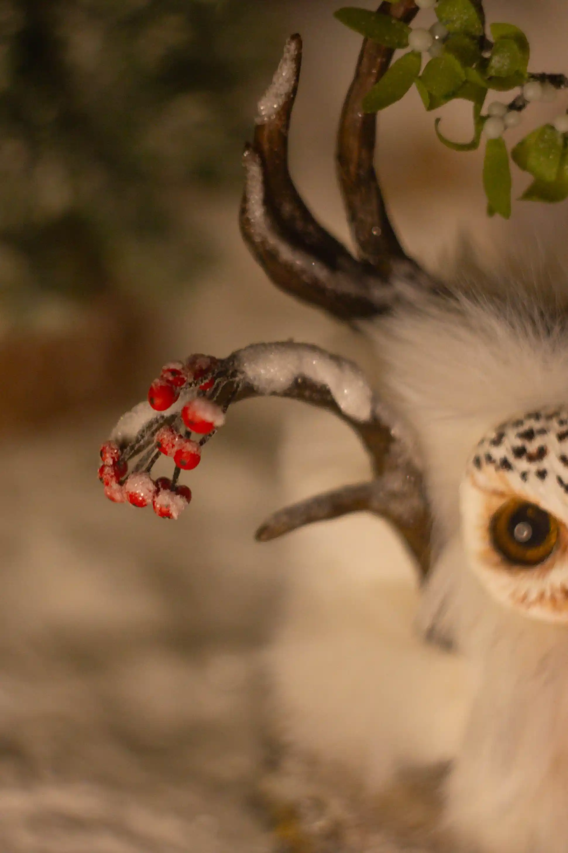 Sparkling Snow fluffy -- close-up of the mistletoe wreath with white berries
