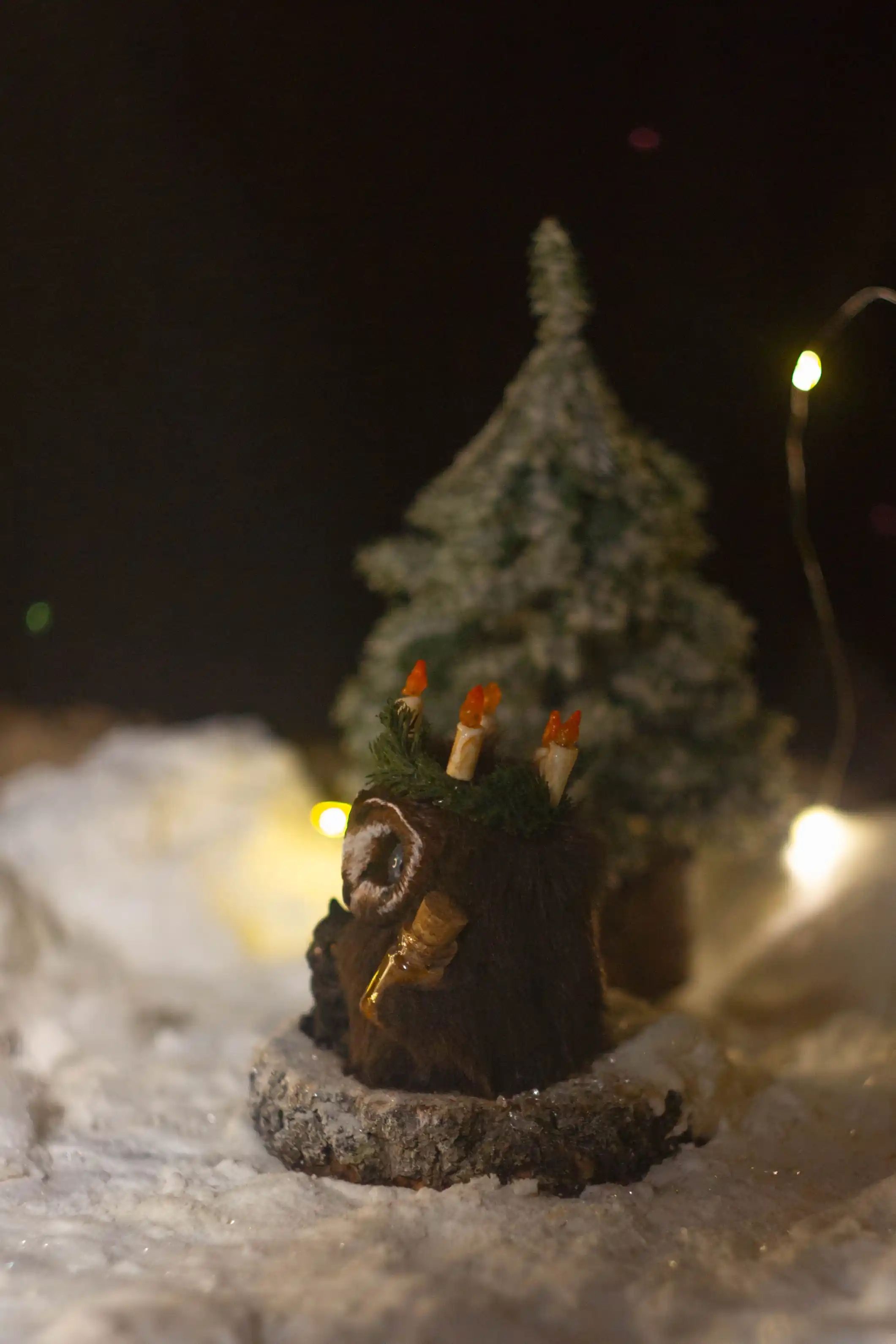 The Solemnity fluffy -- side view, detail of the evergreen fir wreath