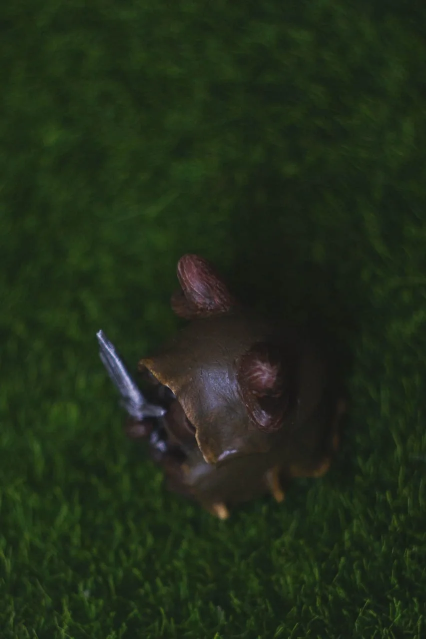 Forest Sprite Aragorn — top view showing hooded cloak and antler-like horns