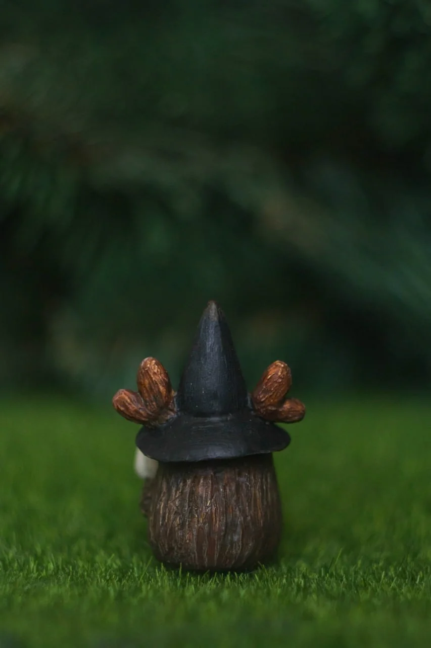 Forest Sprite Wizard — back view, dark bark-textured body and black pointed hat from behind