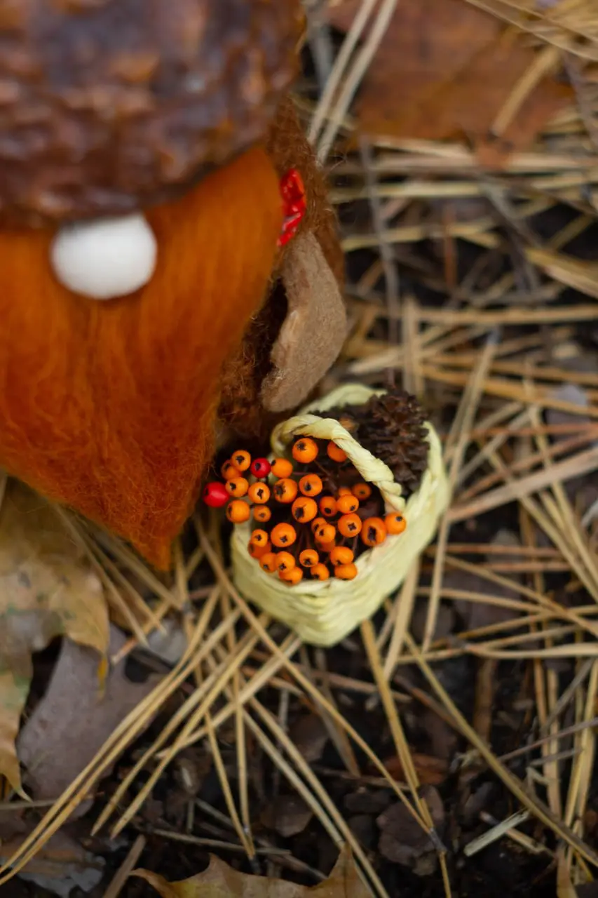 Gnome Acorn Hat — wicker basket with alder cones and rowan berries