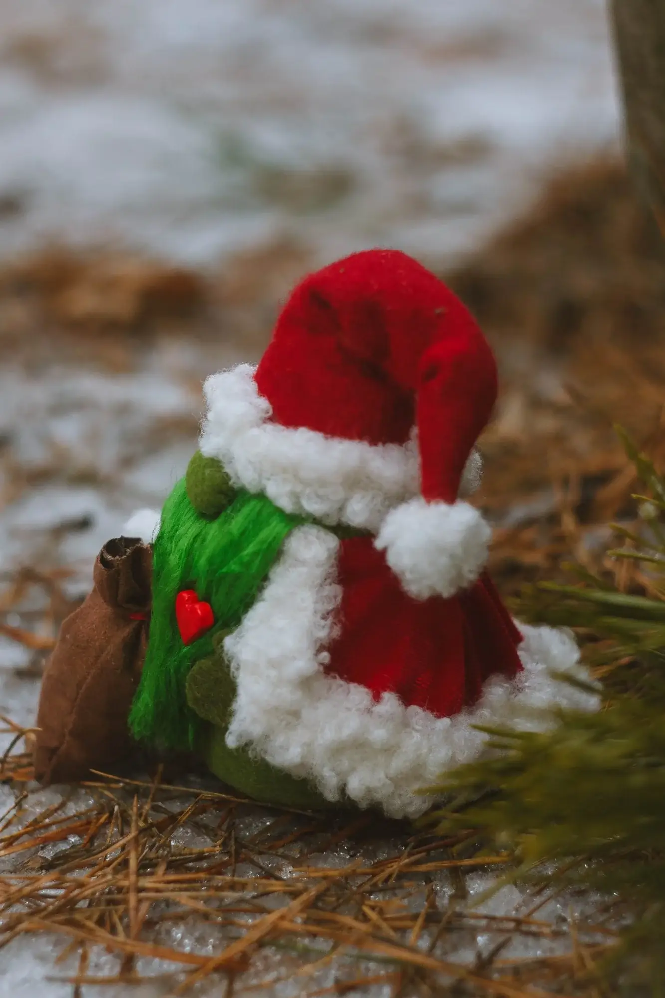 Christmas decor Gnome Grinch — rear view with velvet cloak by pine