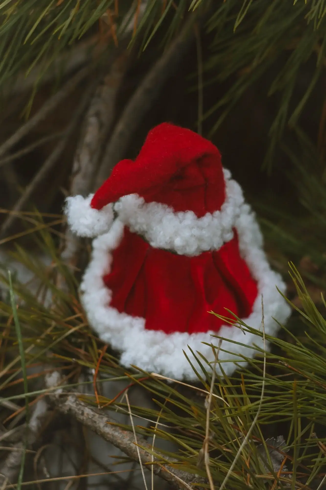 Gnome Grinch — red cape with fur trim and hat, rear view in pine tree