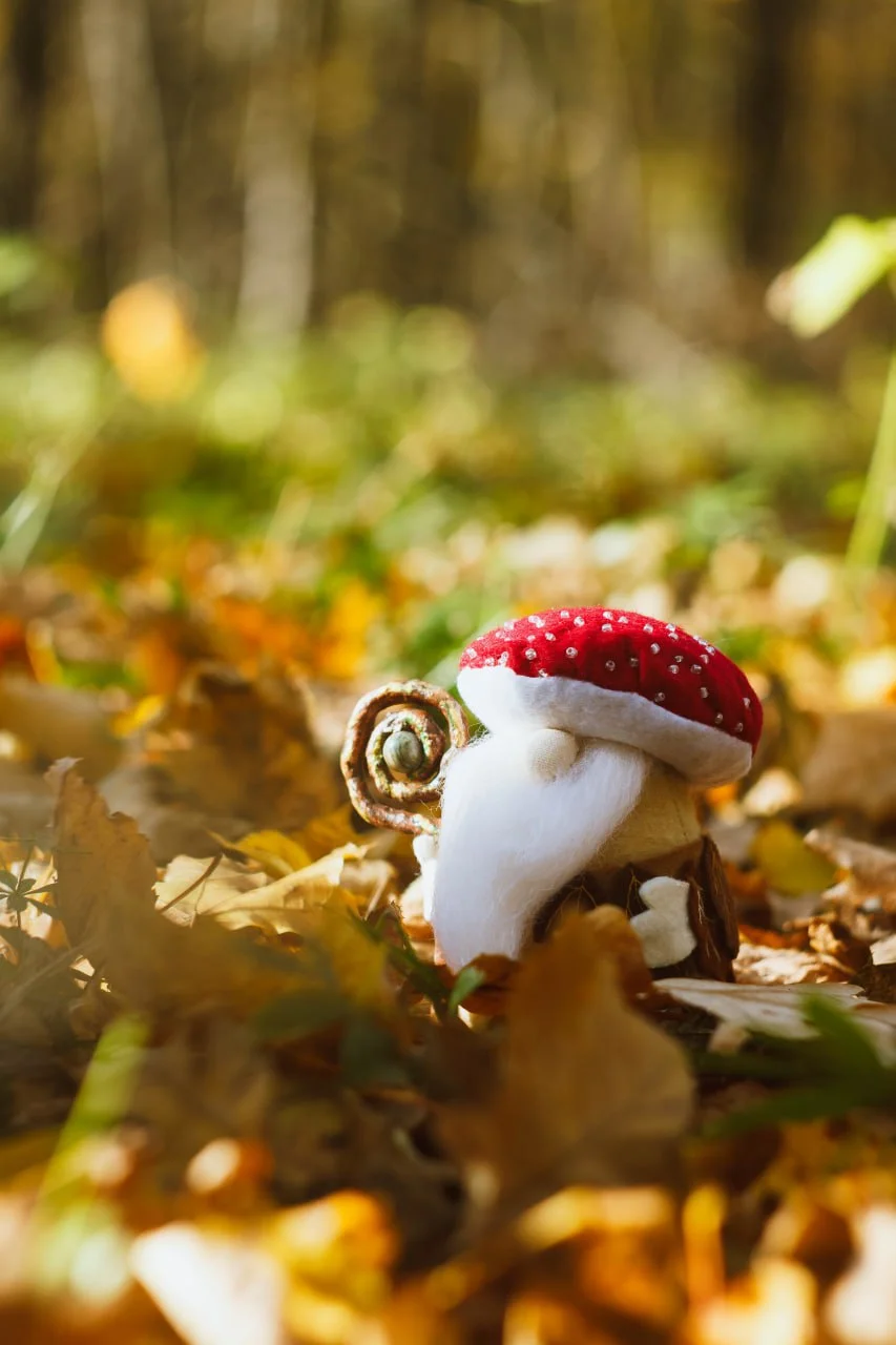 Gnome in toadstool hat among autumn leaves
