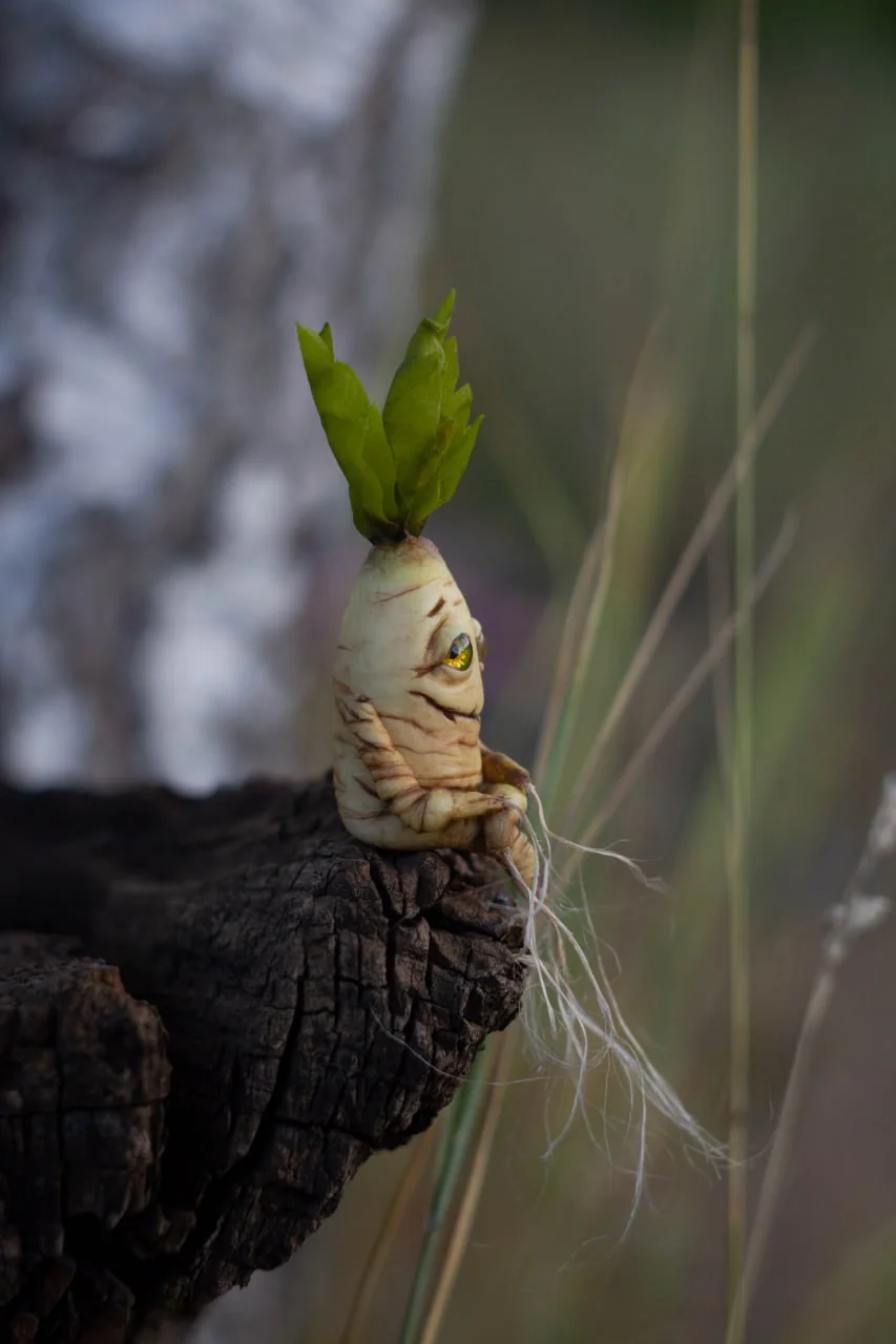 Classic polymer clay mandrake side profile — perched on tree bark edge