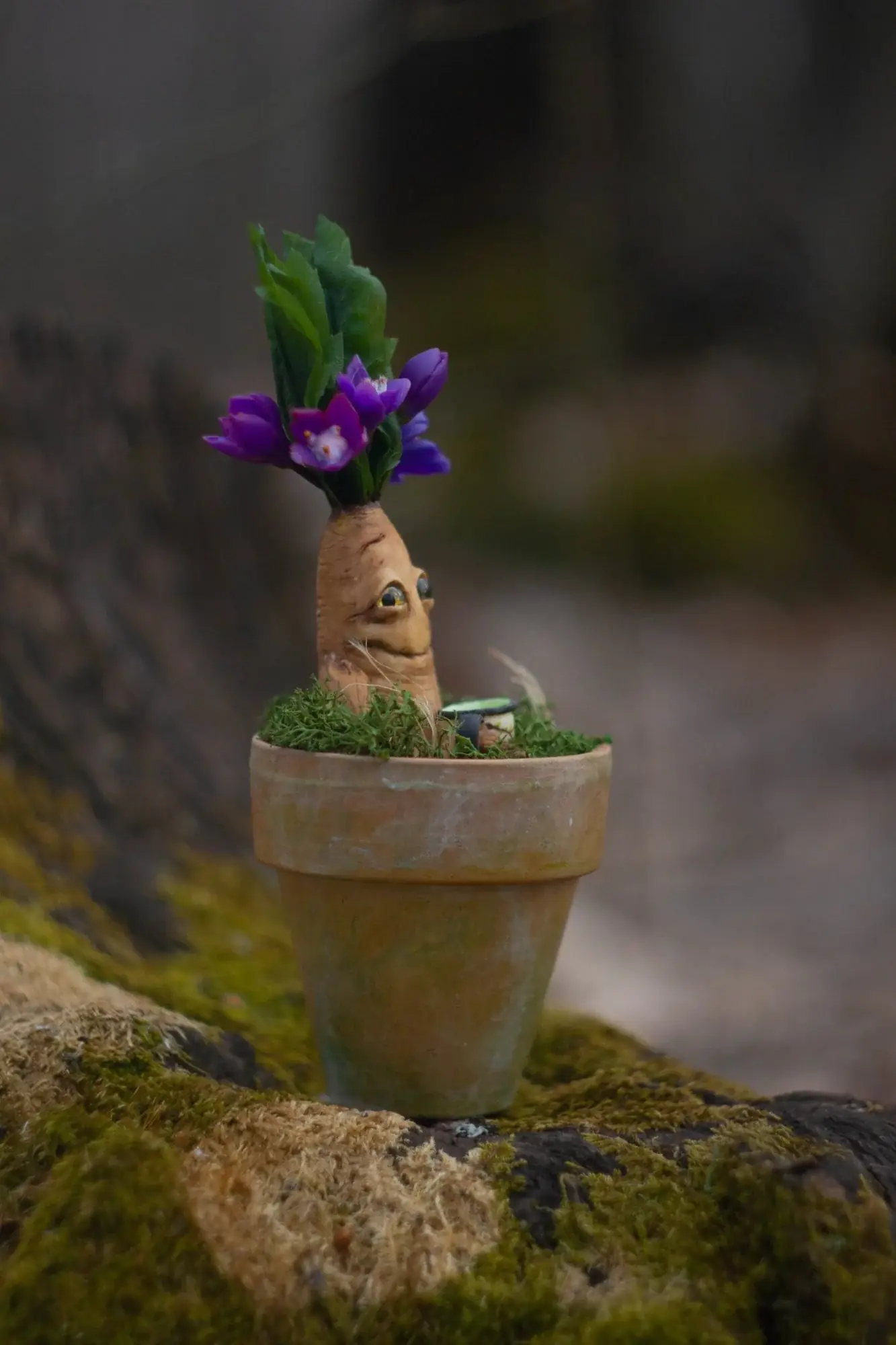 Mandrake in pot side view on mossy stone — handmade polymer clay fantasy figurine
