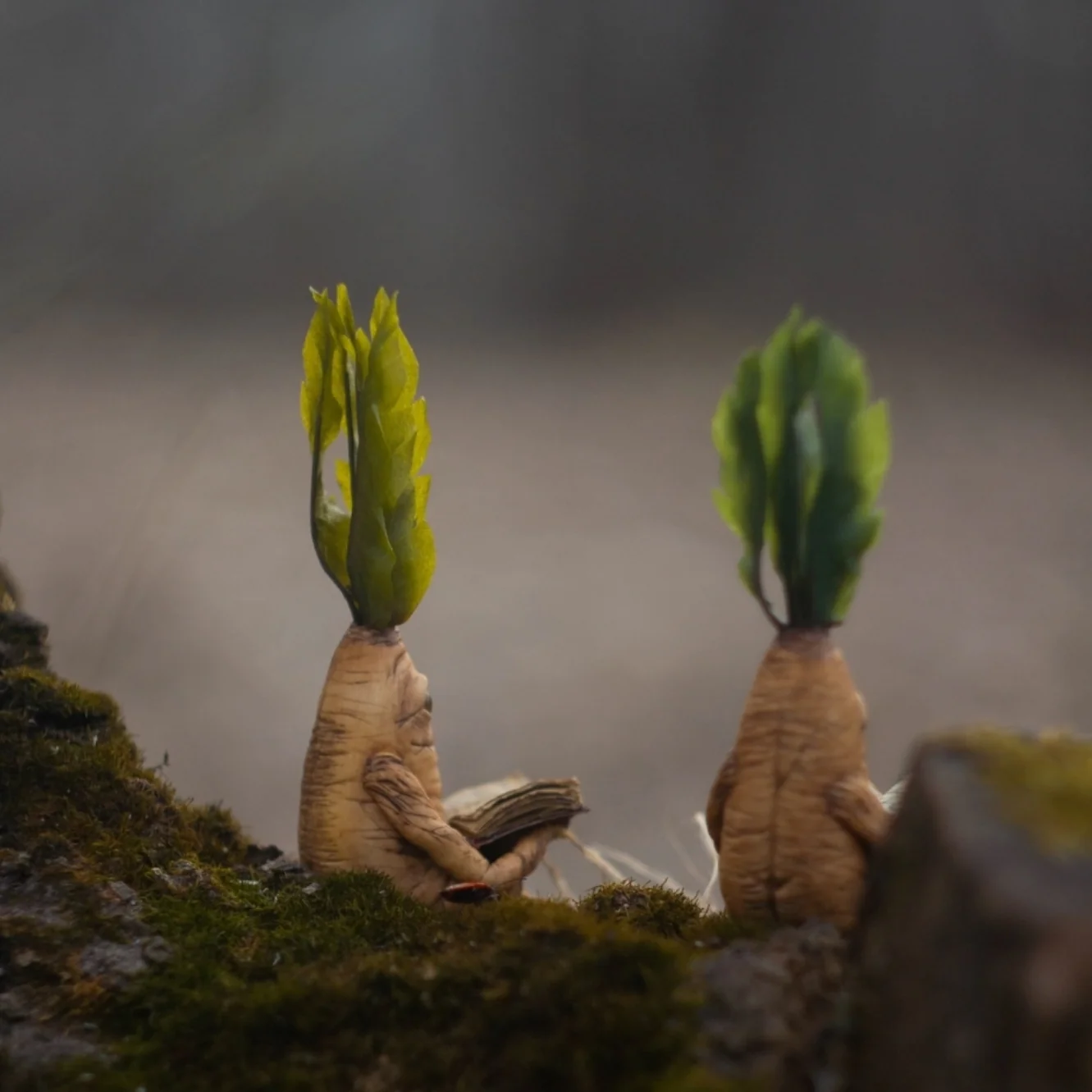 Handmade mandrake figurines on moss — polymer clay magical creatures with following eyes
