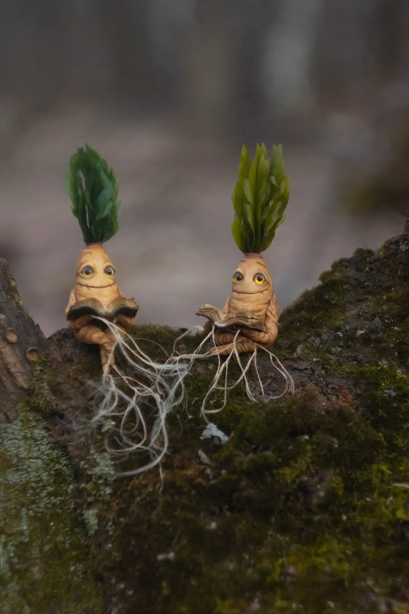 Two handmade mandrake root figurines reading books together — collectible polymer clay fantasy creatures