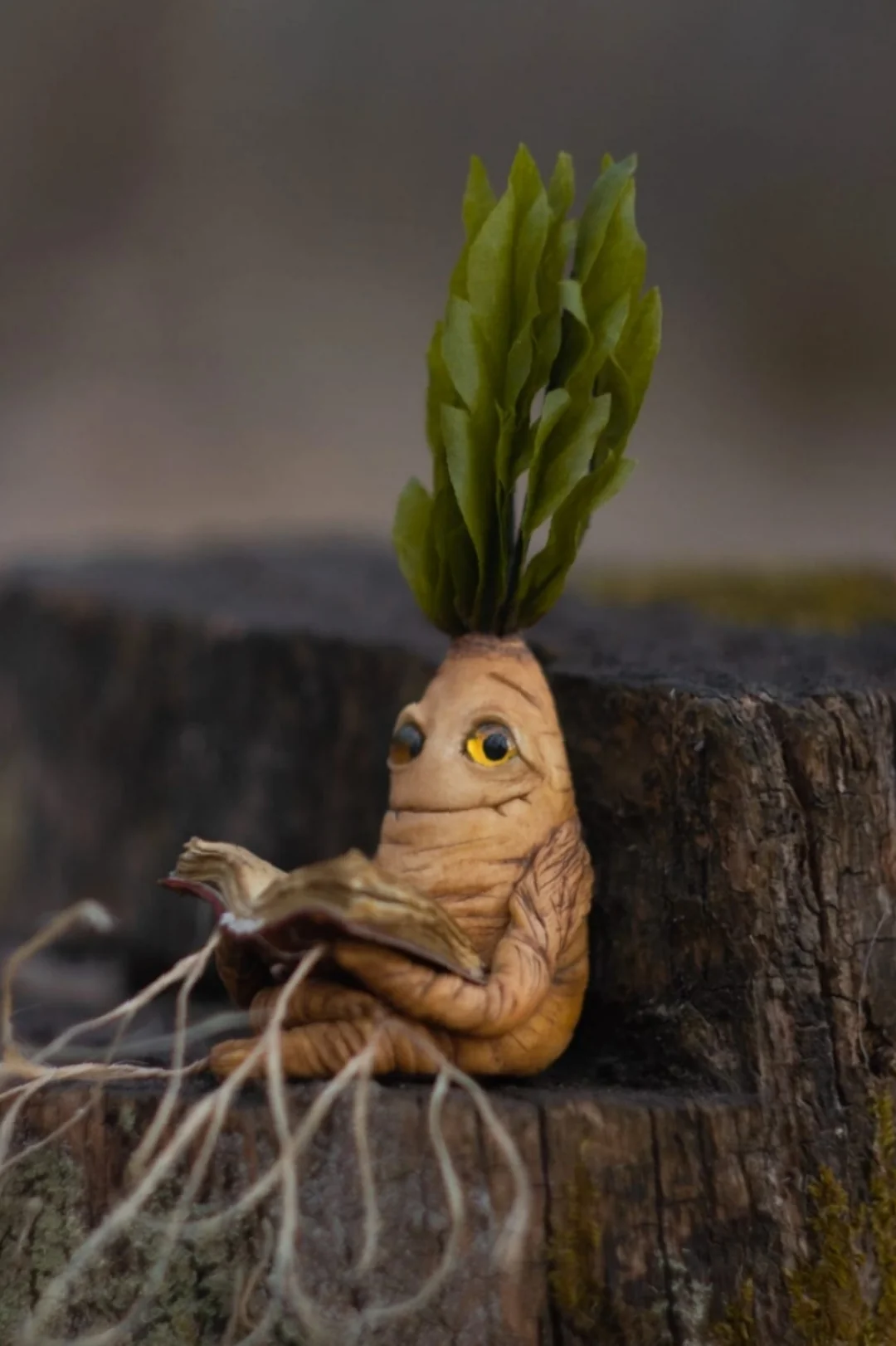Handmade mandrake root figurine reading a tiny book — collectible polymer clay fantasy creature