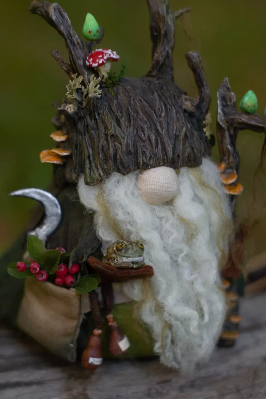 Gnome Swamp Dweller with toad, fly agaric, rowan and mushrooms