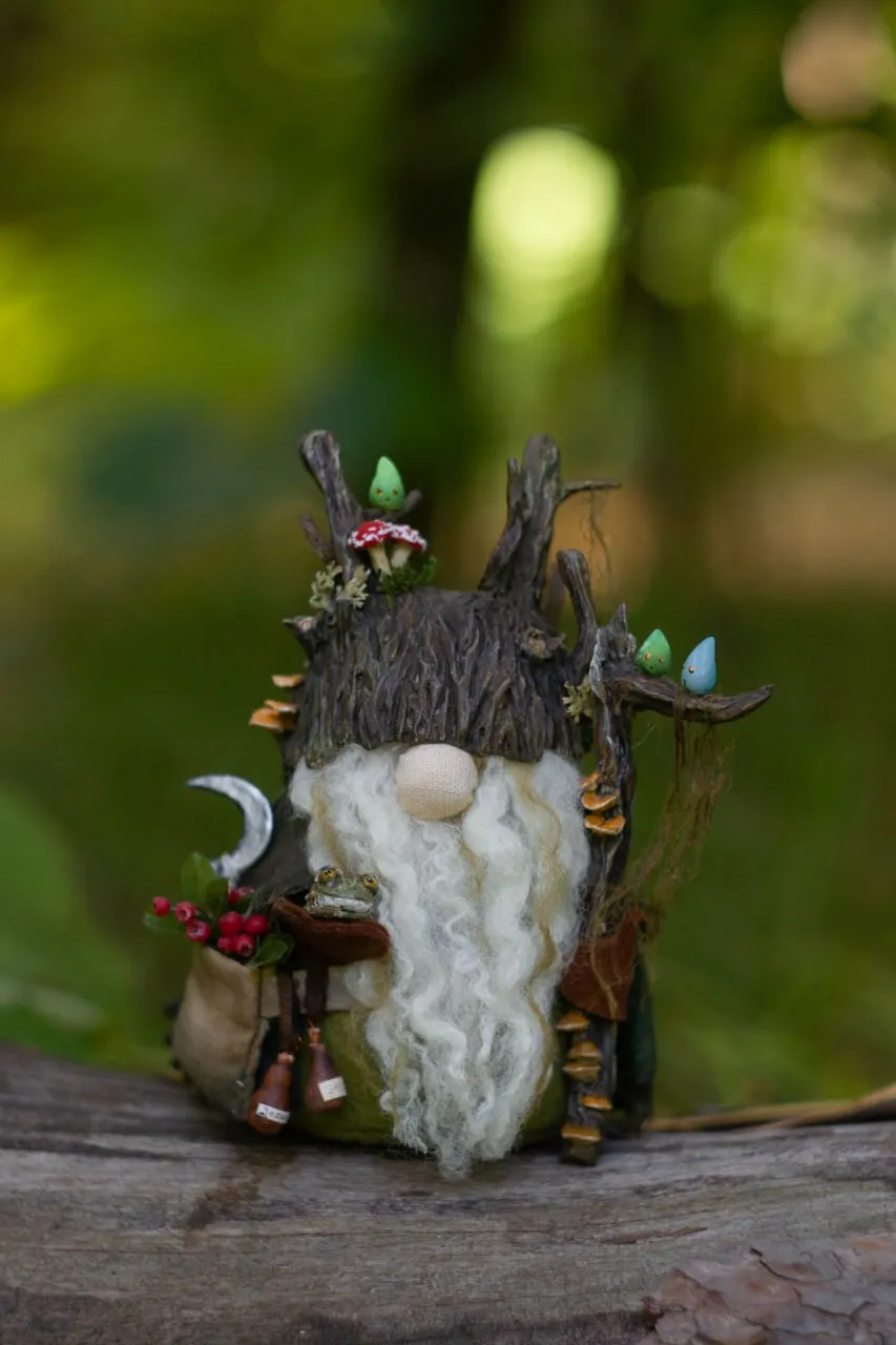 Bog gnome with fluffy wool beard and toad in goblincore style