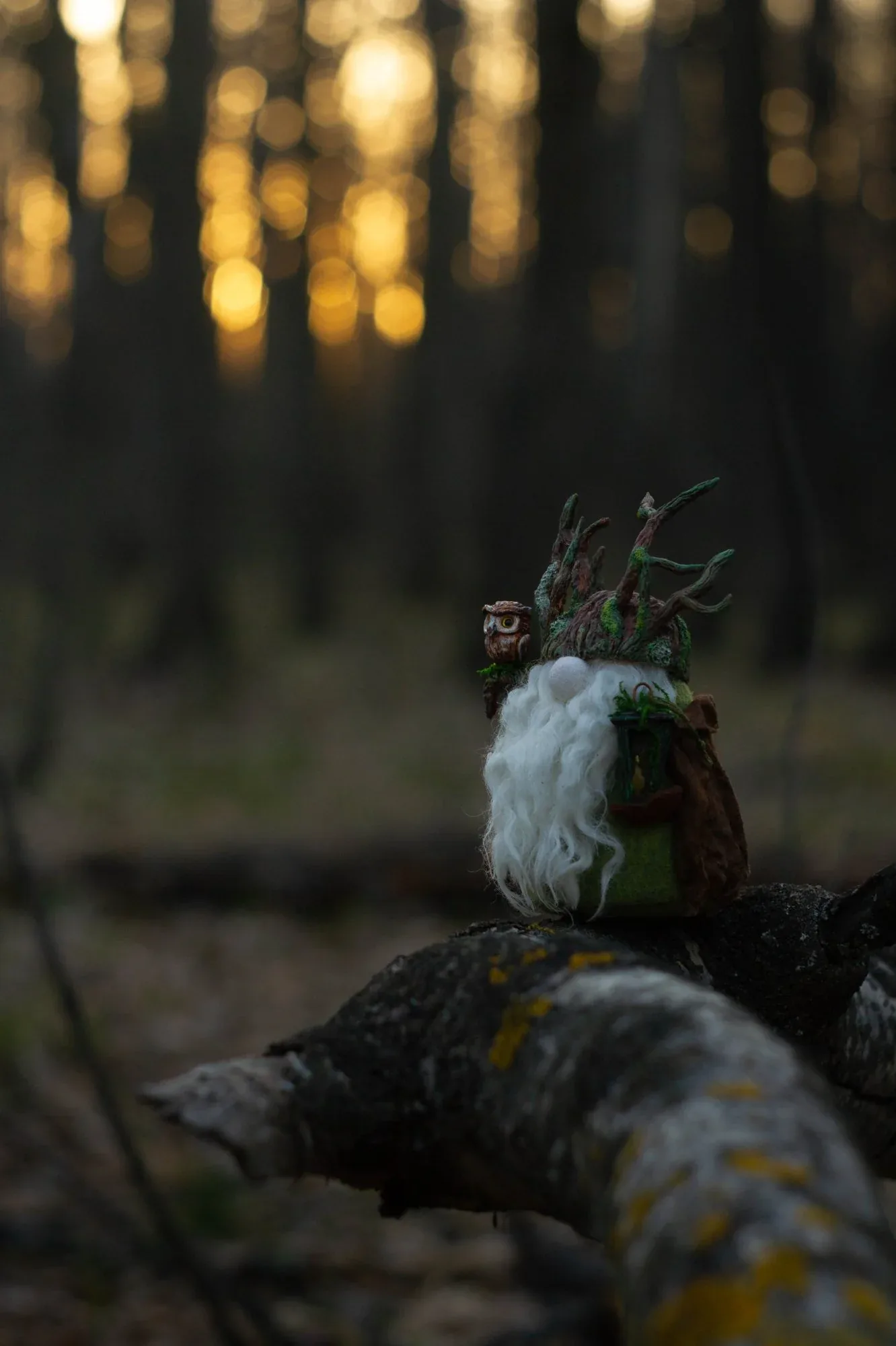 Collectible Gnome Night Warden — on log at sunset in forest