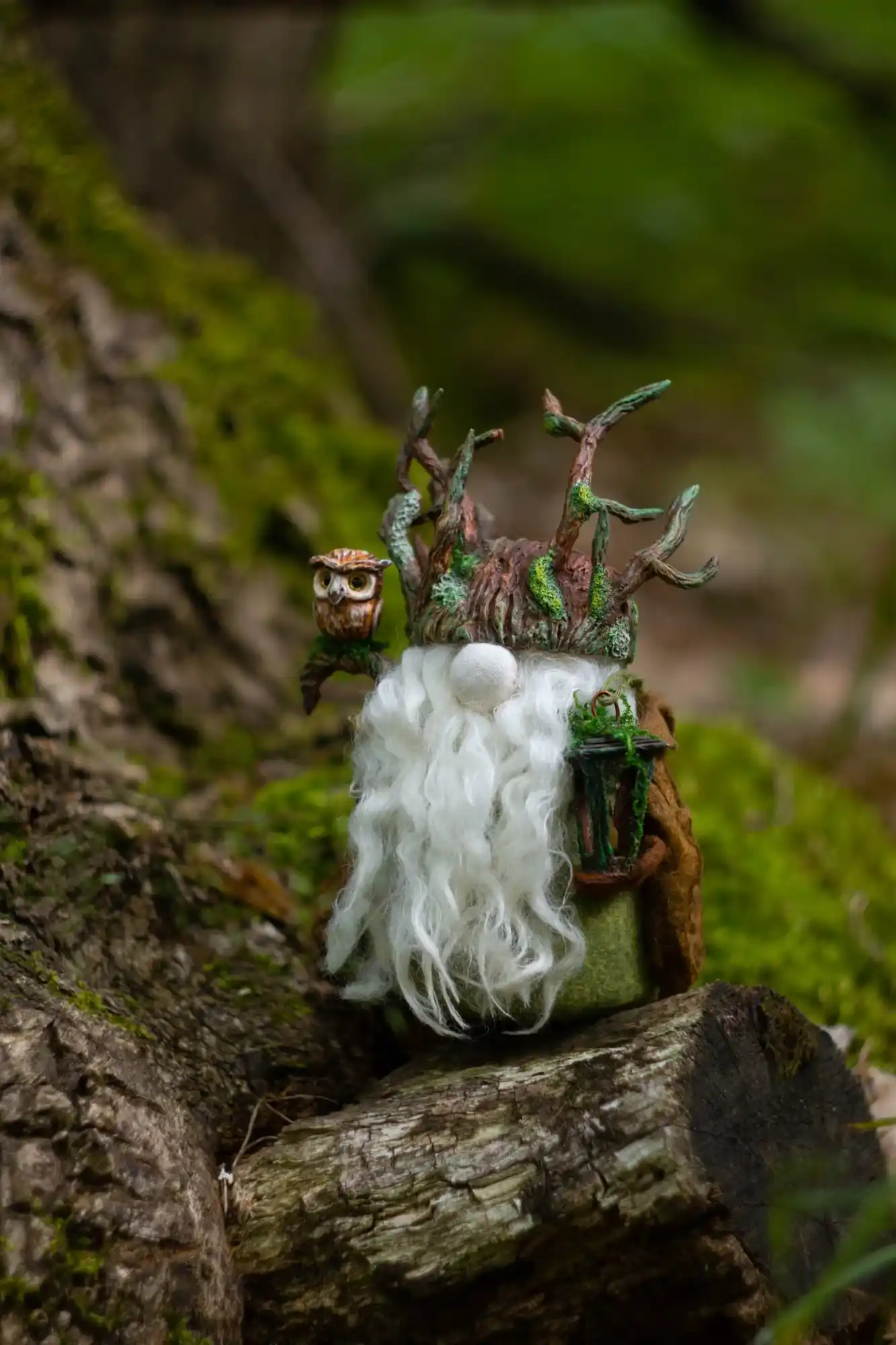 Gnome Night Warden — seen through a hollow tree trunk