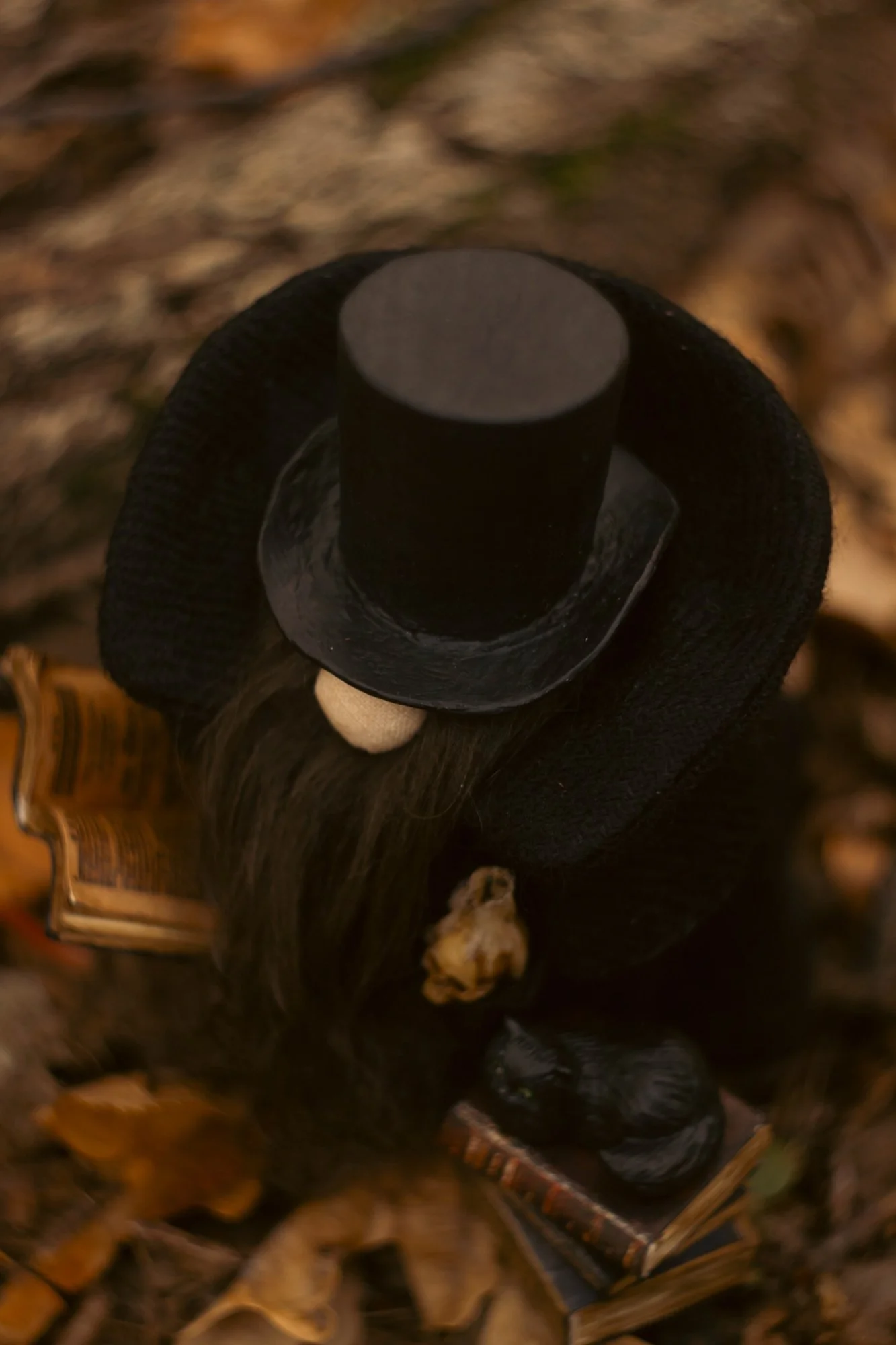Gnome Old Friend — black cat with green eyes on antique paper books — closeup