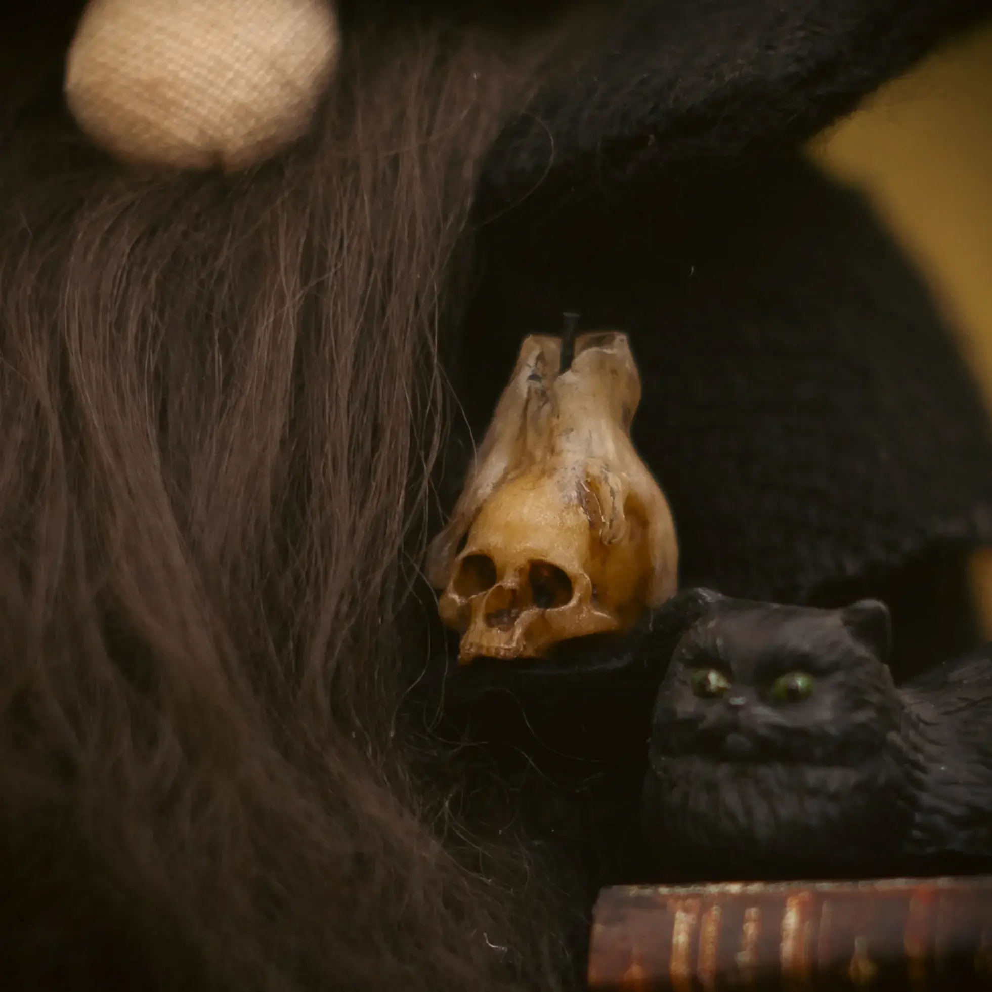 Gnome Old Friend — open antique paper book about vampires — closeup