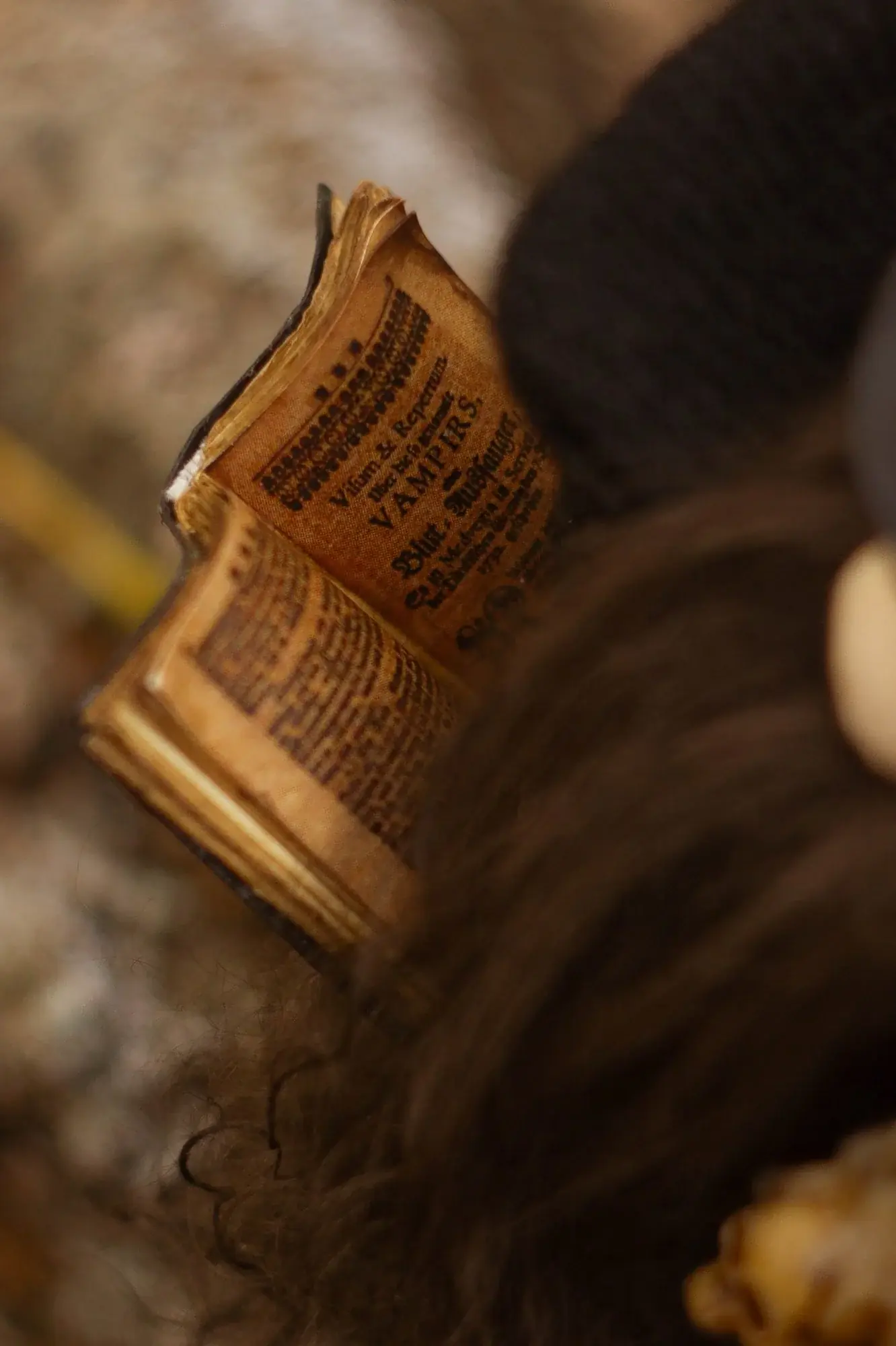 Gnome Old Friend — black cat on stack of antique books, skull, autumn leaves