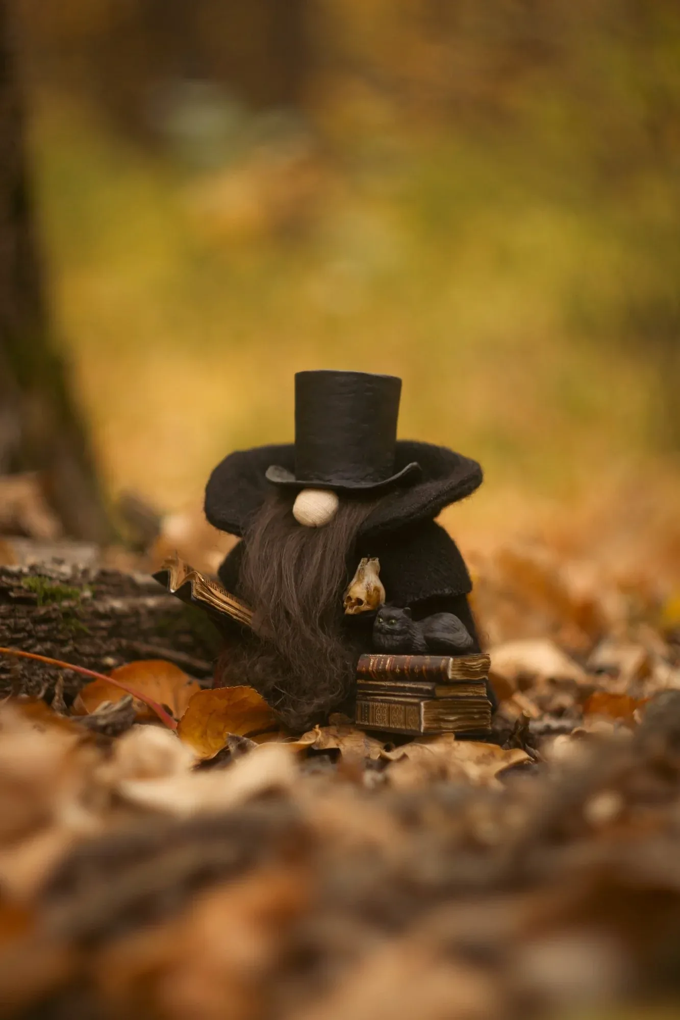 Gnome Old Friend — black cat and stack of paper antique books, autumn forest