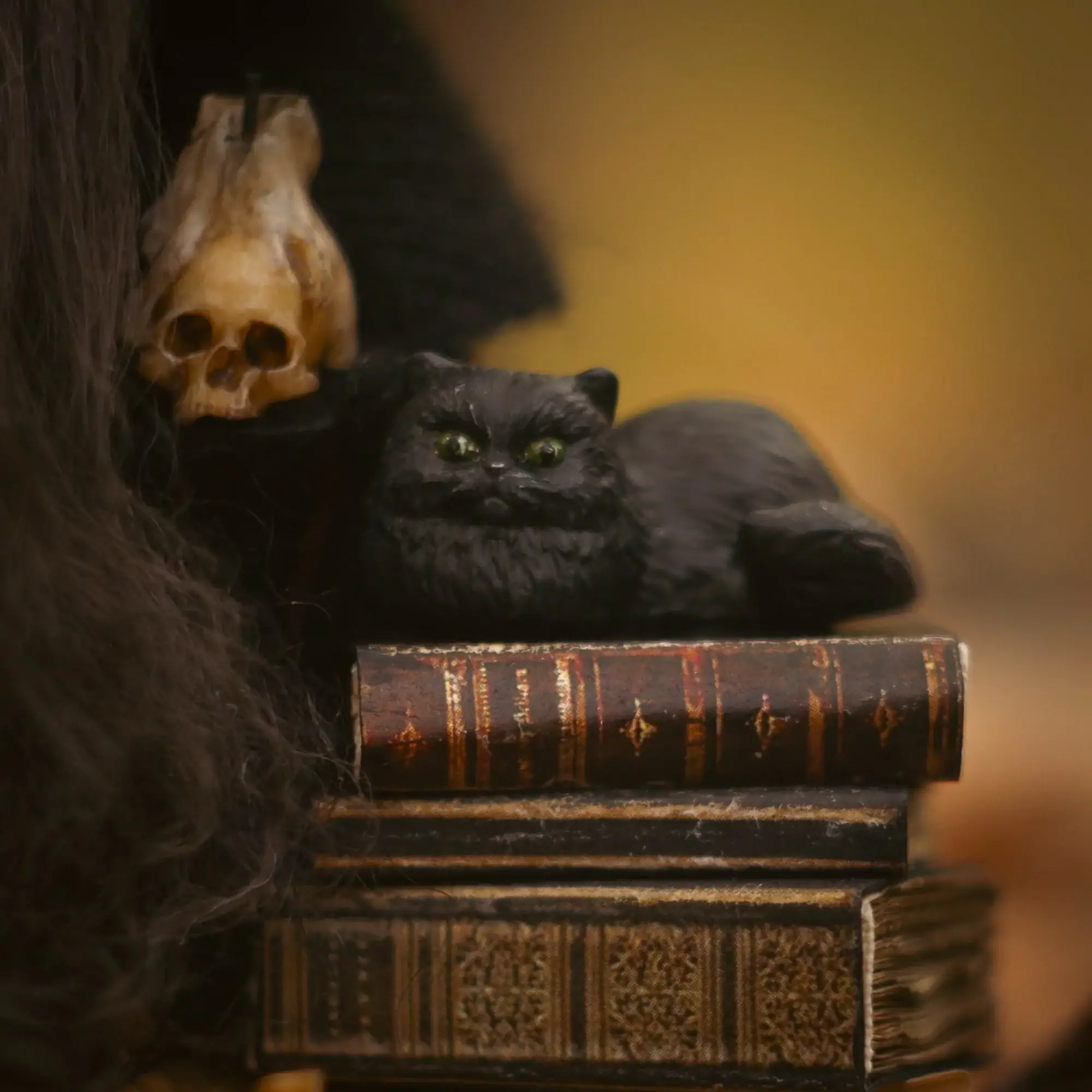 Gnome Old Friend — polymer-clay skull and black cat — closeup