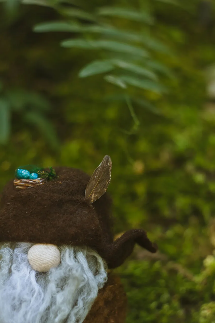 Gnome's brown hat with owl feather and bird nest — top view