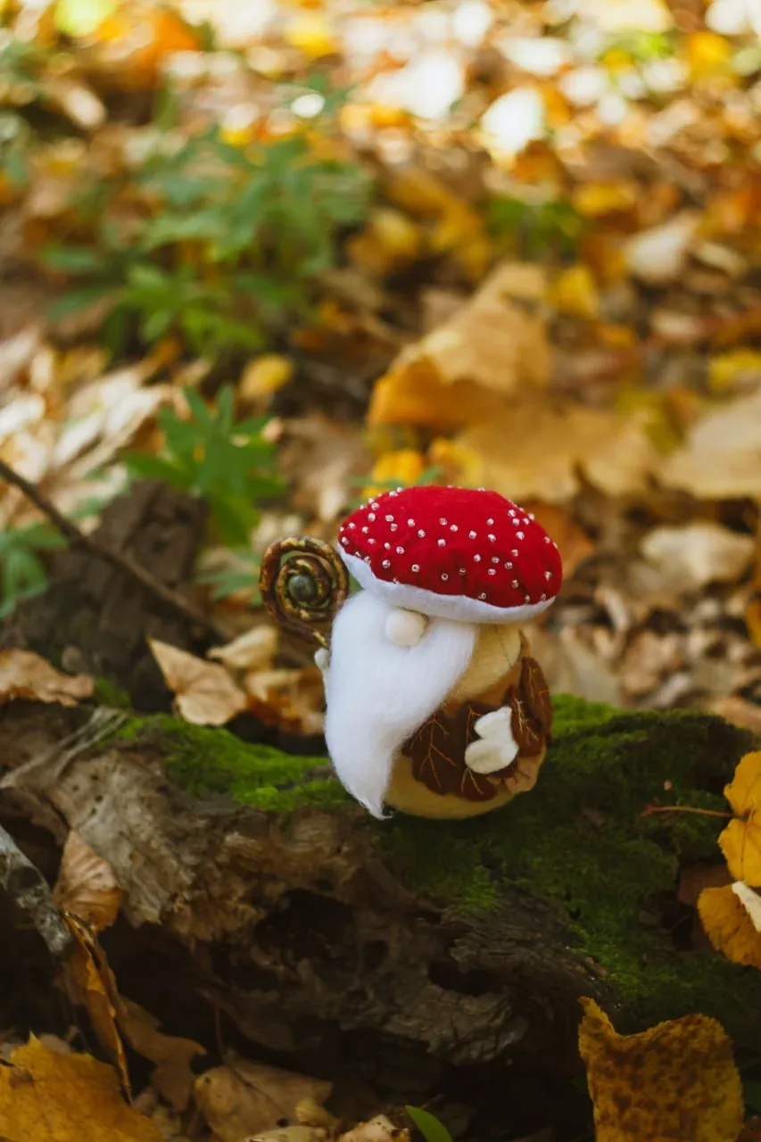 Magical gnome in amanita hat — perfect gift
