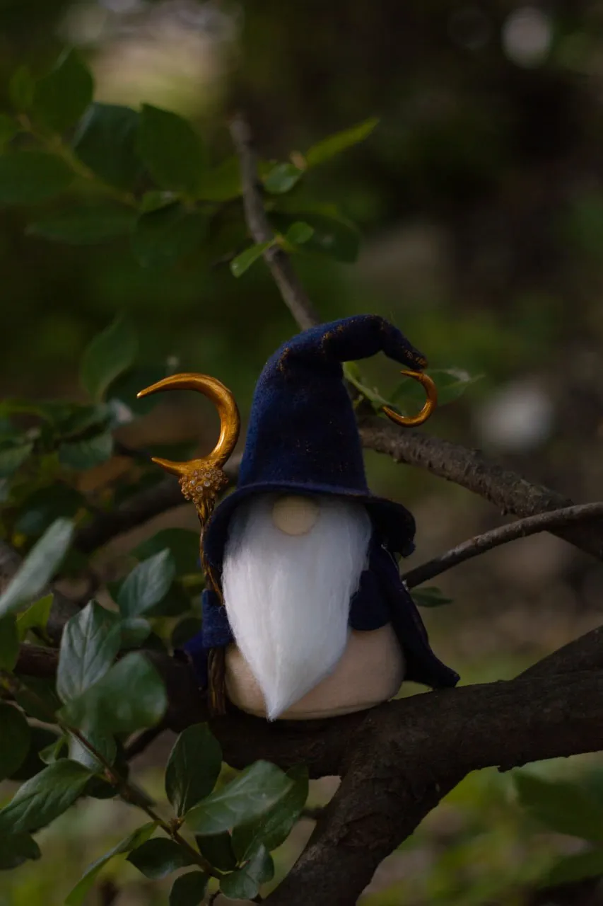 Interior Scandinavian astronomer gnome figure