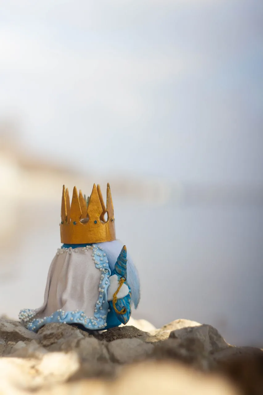Scandinavian gnome in satin beaded cloak at sunset by the sea