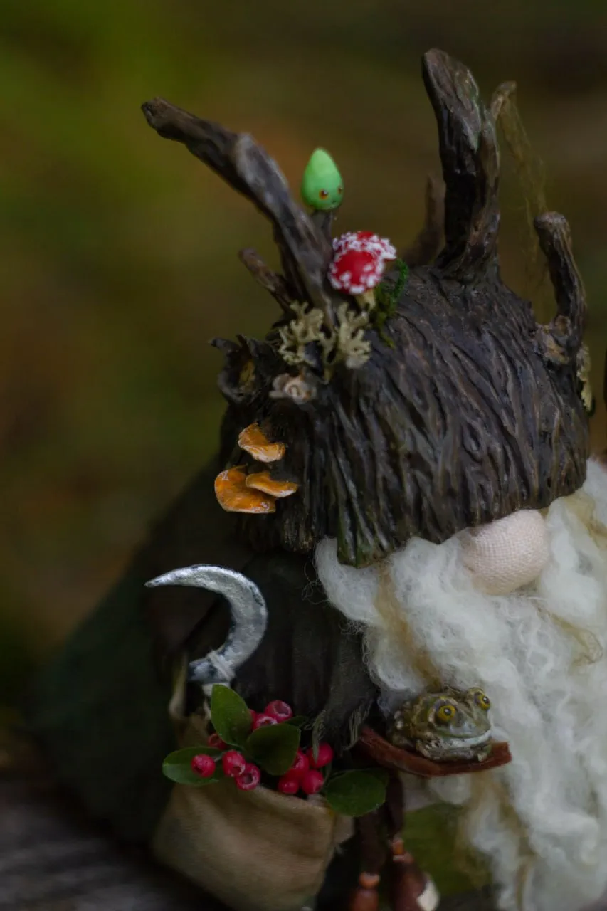 Interior Scandinavian swamp gnome with clay toad — detail closeup