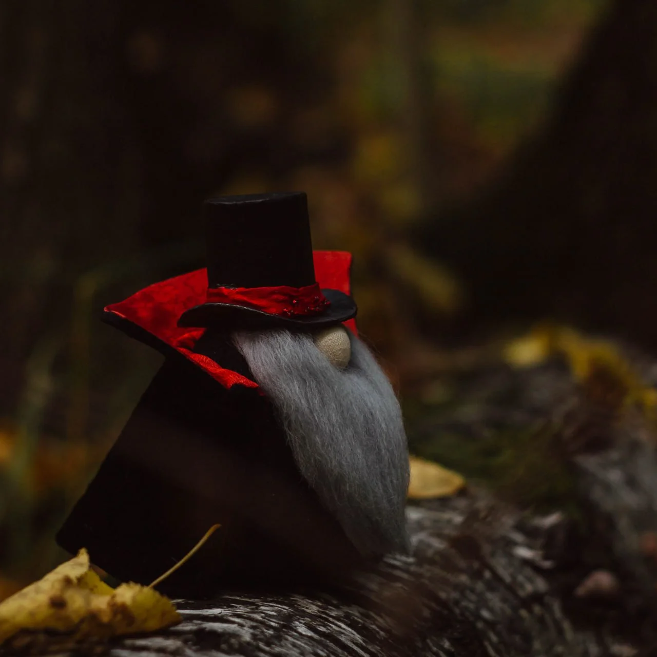 Gnome Vampire — black top hat with red ribbon, velvet cloak, autumn forest