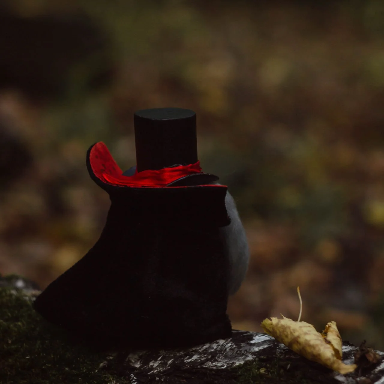 Samhain Gnome Vampire — silhouette in velvet cloak on mossy rock, dark forest